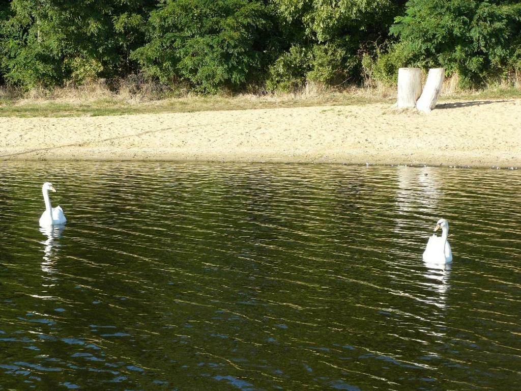 Osrodek Wypoczynkowy Sielawa Villa Chrzypsko Wielkie Exterior foto